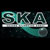 SKA2010 - International SKA Science and Engineering Meeting