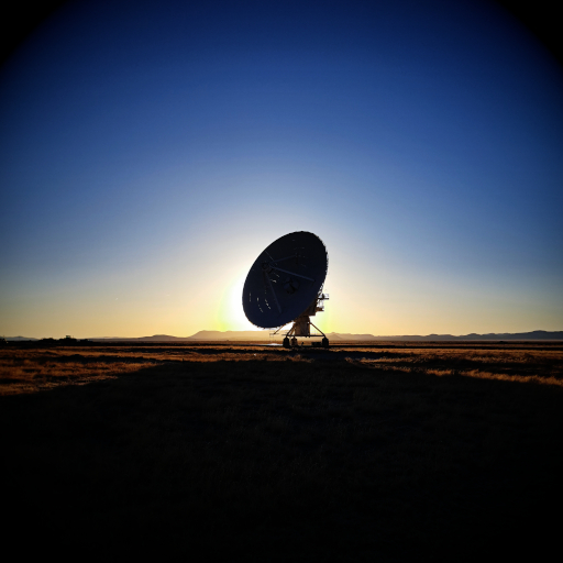 This is an inset image.