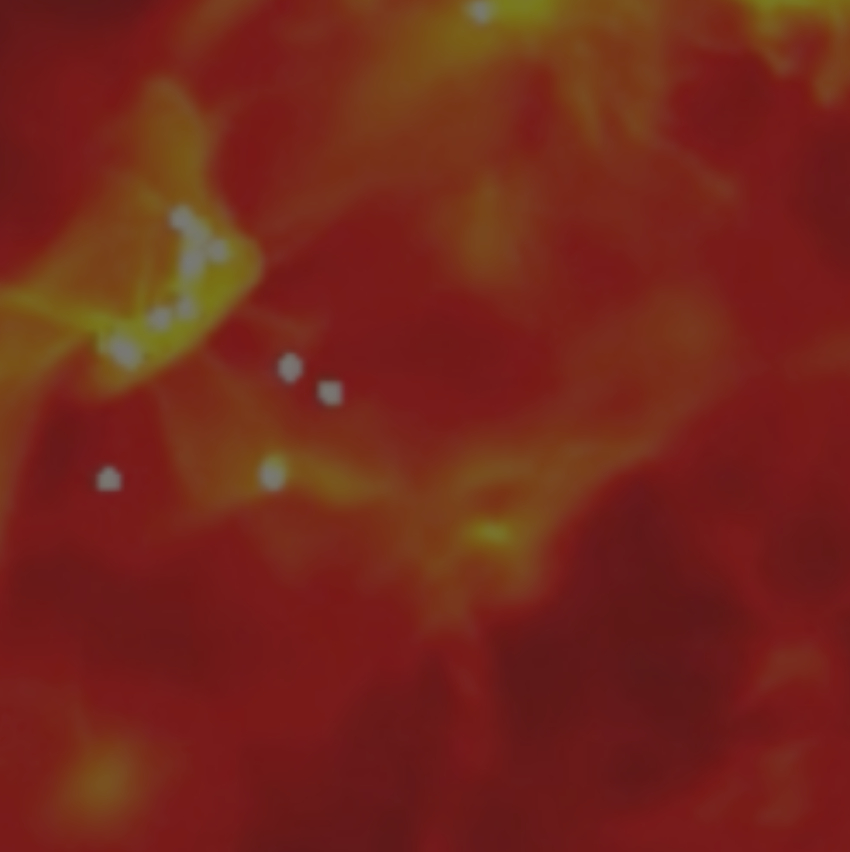 This is an inset image.