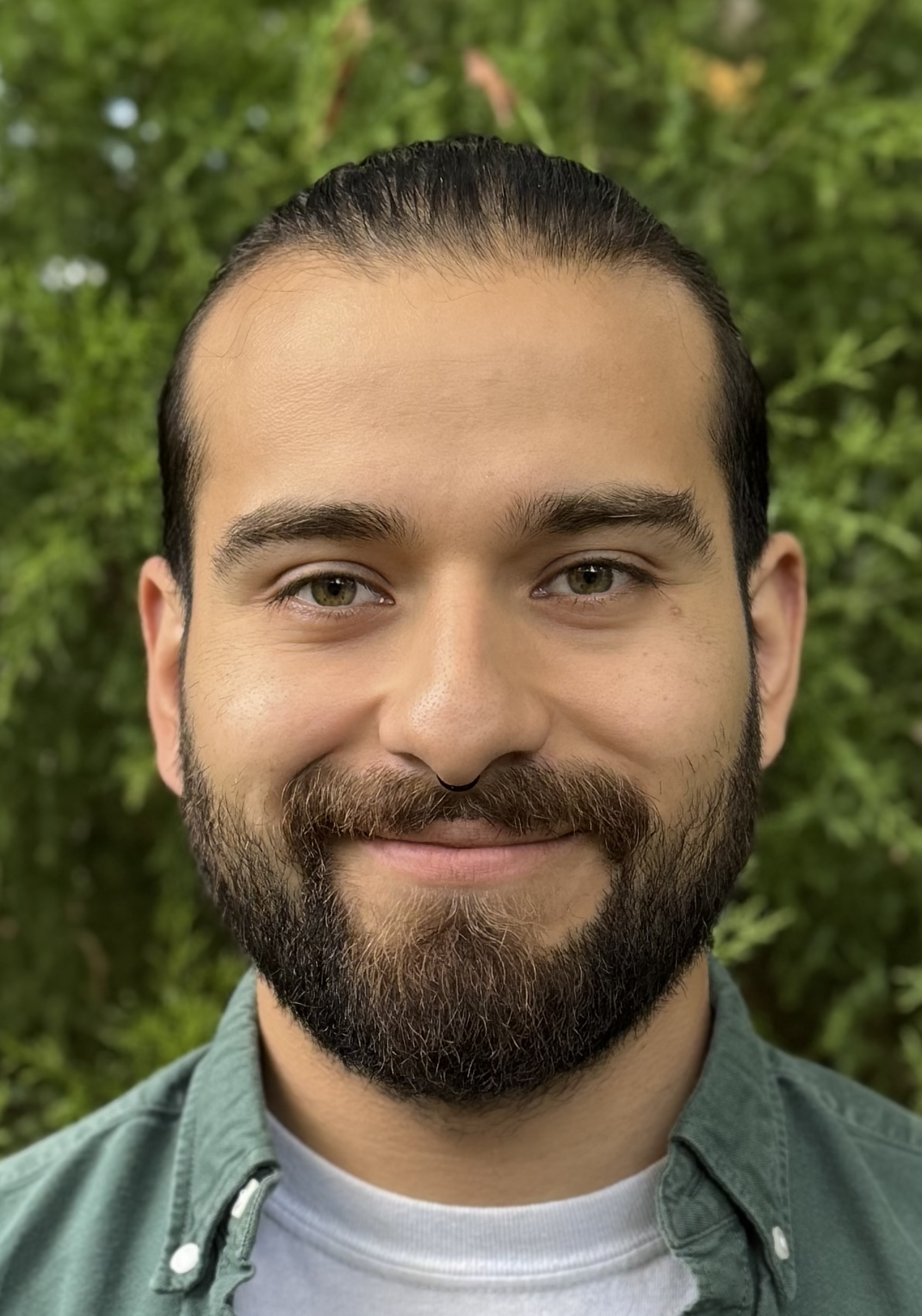 This is an inset image.