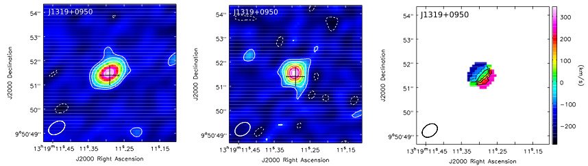Star Formation and Gas Kinematics of z ~ 6 QSO Host Galaxies