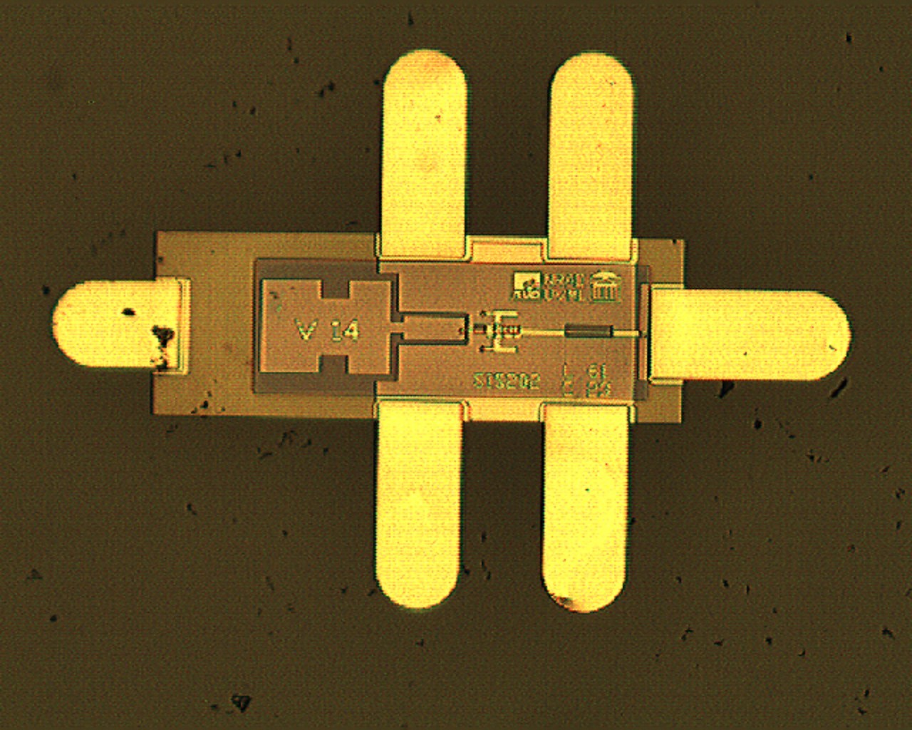 Band 8 SIS202 Chip V 14, L61 C23 (A).jpg