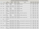 OPT Summary Report Example (small)