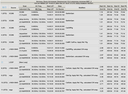 OPT Summary Report Example