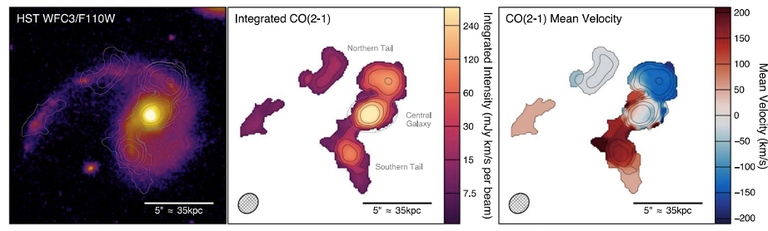 Figure 9.  ALMA observations of CO2-1 emission from a post-merger, post-starburst galaxy at z = 0.64. Most of the molecular gas has been stripped into tidal tails extending 64 kpc (Spilker et al. 2022, ApJ 936, L11)