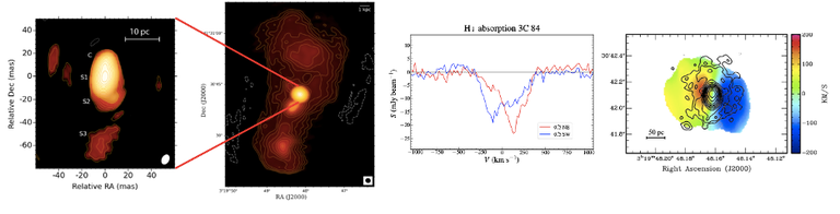 Figure 8.  Left to right: VLBA image of 3C84 at 1.4GHz, 7 mas resolution. VLA image at 1.5” resolution. HI 21cm absorption spectra from the VLA in the inner 1” region. ALMA CO velocity field of the circumnuclear disk plus the VLBA 330 MHz image (Morganti et al. arXiv:2309:10358).