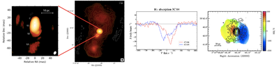Figure-01-01-04-01.png Figure 8. Left to right: VLBA image of 3C84 at 1.4GHz, 7 mas resolution. VLA image at 1.5” resolution. HI 21cm absorption spectra from the VLA in the inner 1” region. ALMA CO velocity field of the circumnuclear disk plus the VLBA 330 MHz image (Morganti et al. arXiv:2309:10358).