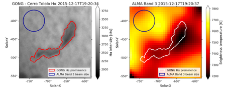 Left: Hα image of solar prominence taken with Cerro Tololo optical telescope on December17, 2015, with PR boundaries (red contours). Right: Concurrent ALMA Band 3 total power image. The blue circle is the ALMA Band 3 single dish beam size (Matkovic et al. arXiv:2509.08605).