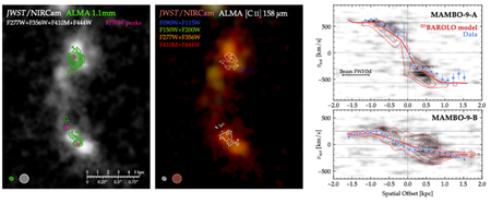 Left: ALMA observations of the dust continuum and [CII] 158 um emission from a z = 5.85 massive galaxy pair at 70mas resolution (contours), plus the JWST near-IR images (Akins et al. arXiv:2508.06607). Right: the velocity fields of the galaxies measured with the [CII] line, plus best-fit rotation curves.