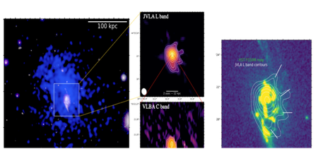 Left: Chandra image of the X-ray emitting hot gas plus the HST image of the stars in a z = 0.5 brightest cluster galaxy and cooling flow cluster. Center: the JVLA L band image at 1” resolution, and the VLBA 5 GHz image at 1.4mas x 4.3mas resolution. Right: the HST image of the stars and the JVLA image at 1.4 GHz of the parent galaxy (Ubertosi et al. 2025, ApJ 989, 128).