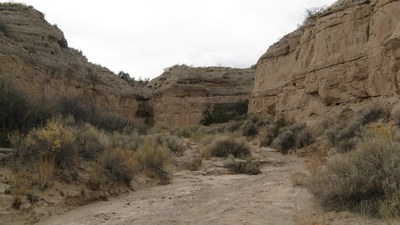 Bosque Canyon