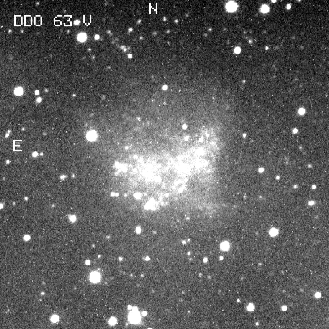 d63v.jpg